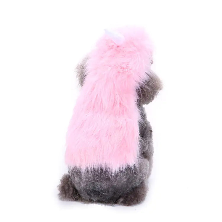 Halloween and Christmas Dog Outfits