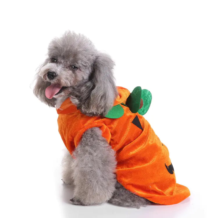 Halloween and Christmas Dog Outfits