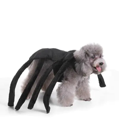 Halloween and Christmas Dog Outfits